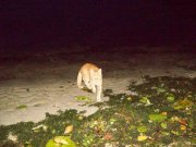 100_2117.jpg