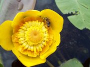 100_2133.jpg