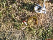 DSC00094.JPG