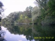 PIC_0178.jpg