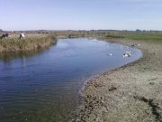 Photo-0059.jpg