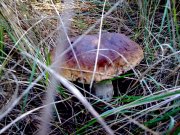 Фото0008.jpg