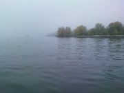 DSC01082.JPG