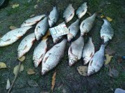 DSC01118.JPG