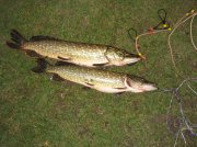 IMG_9144.jpg