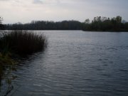 PA280358.jpg