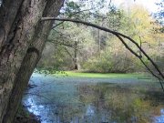 IMG_7859_1.JPG