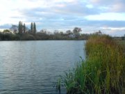 DSC03842.JPG