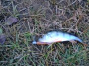 DSC03841.JPG