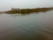 06112009899.jpg