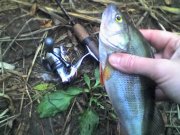 08-11-09_0959.jpg