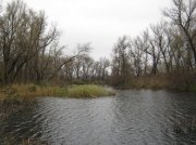 Kommunar5_10112009.jpg