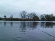 DSC01306.JPG