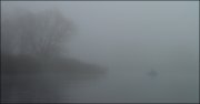 DSC07318.jpg