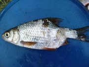DSC01349.JPG
