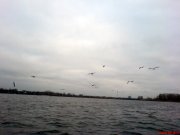 DSC00975.JPG