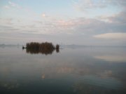 IMG_0500.jpg