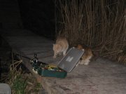 IMG_0507.jpg