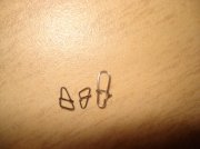DSC05448.jpg