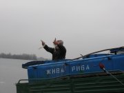 IMG_0986.JPG