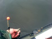 DSC01000.JPG