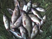 13-06-09_1508.jpg