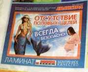 795_1.jpg