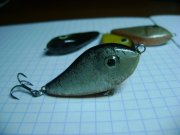 DSC00952.JPG