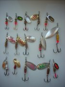 DSCN5410.jpg