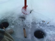 DSC02028.JPG