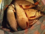 DSC02042.JPG