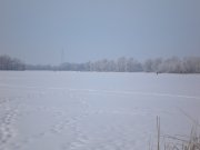 P1300024.JPG