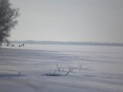 P1300028.JPG