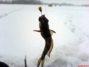 DSC01055.JPG