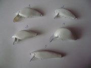 P2050020_новый размер.JPG