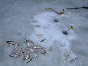 Новомосковск 2010-02-14 009.jpg