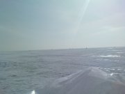 DSC02249.JPG