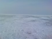 DSC02250.JPG
