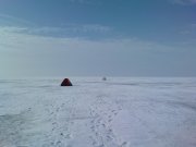 DSC02267.JPG
