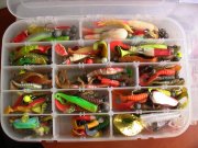 PIC_0993.JPG