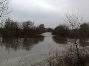 21032010184.jpg
