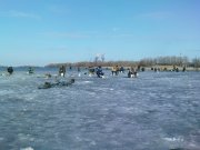 DSC02422.JPG