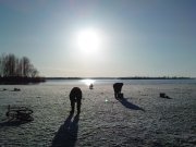 DSC02433.JPG