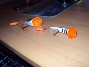 DSC01266.JPG