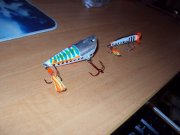 DSC01267.JPG