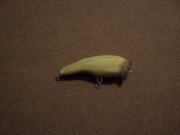 Resize of DSC01286.JPG
