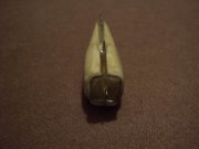 Resize of DSC01289.JPG