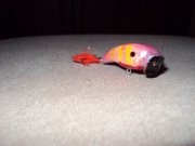 DSC01378.JPG