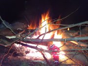 DSC02599.JPG