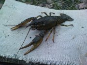 DSC02612.JPG